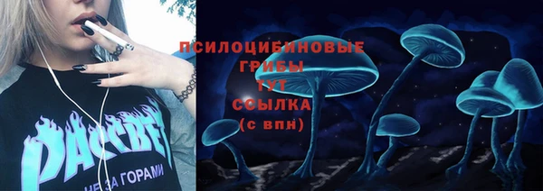 меф Горнозаводск