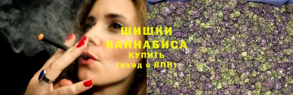бошки Вязьма