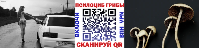 Псилоцибиновые грибы мицелий  где купить наркотик  Сызрань 